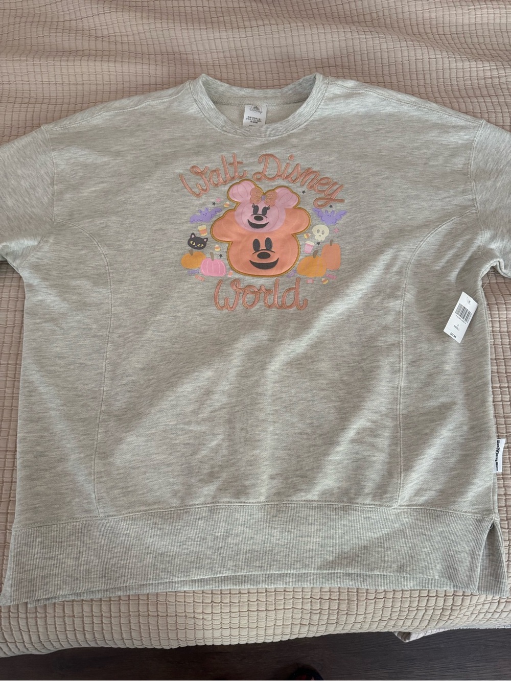 NWT Disney Light Gray Pullover Sweatshirt - Pink Pumpkin Graphic